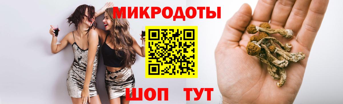 Псилоцибиновые грибы Magic Shrooms  Вход с VPN  Рубцовск  Псилоцибиновые грибы GOLDEN TEACHER 